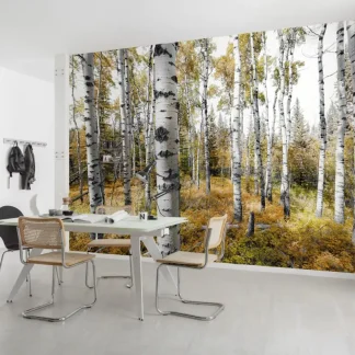 Komar Vlies Fototapete Colorful Aspenwoods 450 x 280 cm