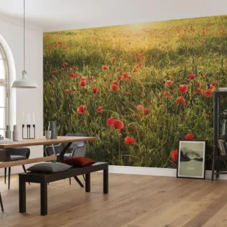 Komar Vlies Fototapete Poppy World 450 x 280 cm