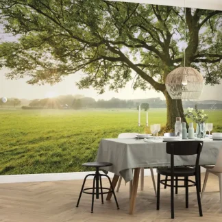 Komar Vlies Fototapete The Magic Tree 450 x 280 cm