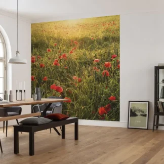 Komar Vlies Fototapete Poppy World 250 x 280 cm