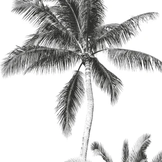 Komar Vlies Fototapete Retro Palm 200 x 280 cm