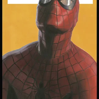 Komar Vlies Fototapete Spider-Man Comic 100 x 250 cm
