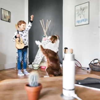 Bosch Innenkamera Smart Home 360° Rundumblick