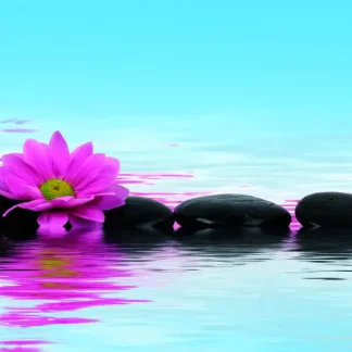 Deco-Canvas Bild - Stones + Flowers 50 x 70 cm