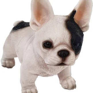 Dekofigur Bulldogge 14 x 12 x 8 cm