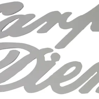 Schriftzug XL Carpe Diem silber 76 x 29 cm