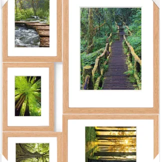 Bilderrahmen Collage Green Magic 5 Fotos, 53 x 65 cm