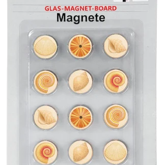 Magnetset 12-teilig - Muscheln für Glas-Magnet-Board