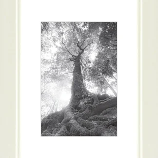 Bilderrahmen Modern cremeweiß, 9 x 13 cm