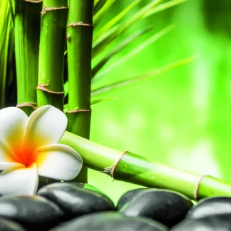 Deco-Canvas Bild - Bambus Zen 116 x 76 cm