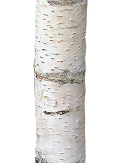 Birkenholzsticks 100% Natur 20 cm