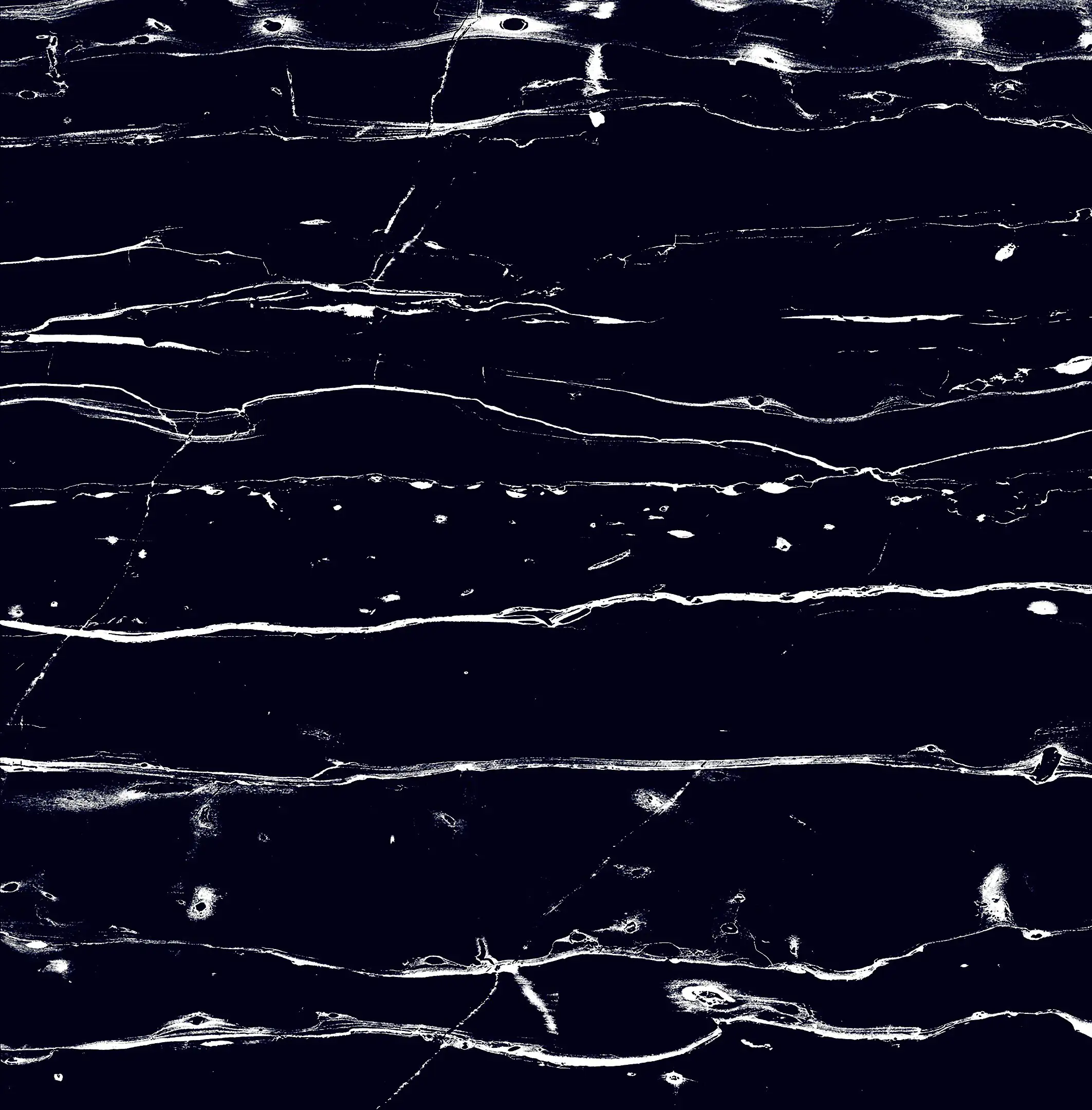 Bodenfliese Feinsteinzeug Prothro Black 60 x 60 cm schwarz