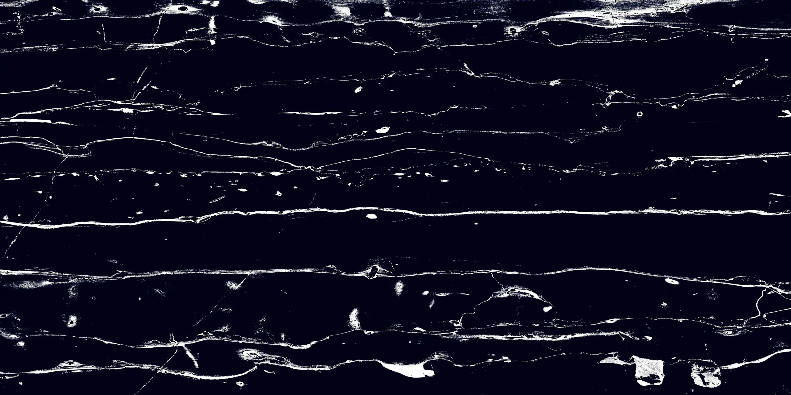 Bodenfliese Feinsteinzeug Prothro Black 60 x 120 cm schwarz