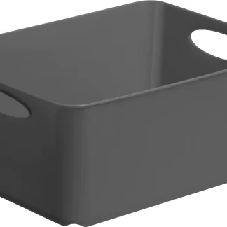 Rotho Aufbewahrungsbox Living 5 L anthrazit 29,5 x 21,6 x 13,5 cm