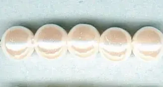 Glorex Wachs Perlen 6 mm 60 Stück, weiß