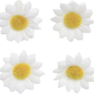 Glorex Streu Margerite weiß 18 Stück