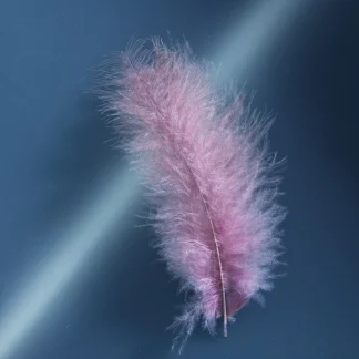 Glorex Marabufedern natur ca. 15 Stück