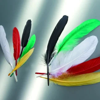Glorex Indianerfeder mix ca.15 Stück