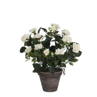 Mica künstlicher Rosenstrauch weiß im Blumentopf 33 x 25 cm