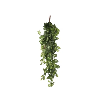 Mica künstliche Fittonia hängend grün 80 x 30 x 15 cm