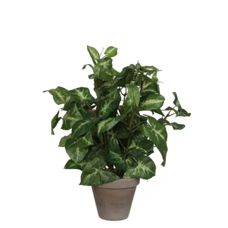 Mica Kunstpflanze Syngonium grün im Topf 35 x 25 cm