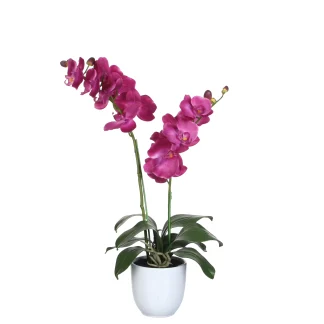 Mica Kunstpflanze Phalaenopsis im Topf violett, 66 x 38cm