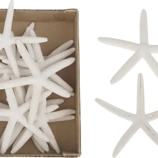 Dijk Seestern Finger weiß 10-12 cm