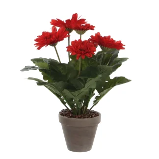 Mica Kunstpflanze Gerbera im Topf rot, 35 x 30 cm