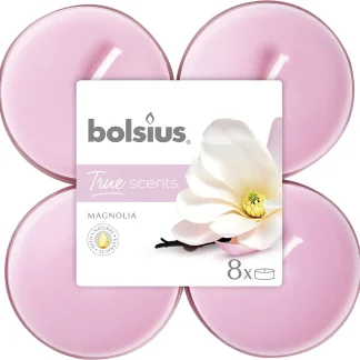 Bolsius Duftteelichte Maxi Magnolie, Höhe 1,17 cm, Ø 4,5 cm, 6er Pack