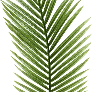 Kaemingk Farnblatt künstlich 111 x 33 x 4 cm