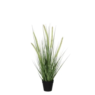 Mica Kunstpflanze Dogtail 53 x 30 cm