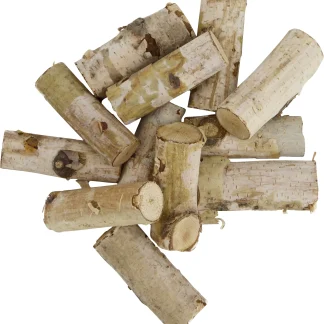 Dijk Holzscheiben Ø 5 cm 12 Stück