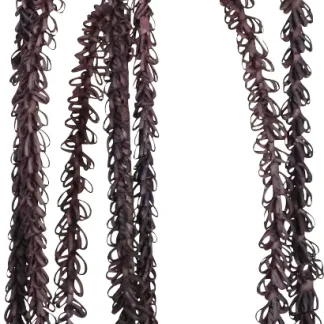 Dijk Blumenhängezweig lila 80 cm