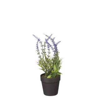 Mica künstlicher Lavendel im Topf violett 24 x 10 cm