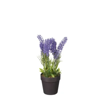 Mica künstlicher Lavendel im Topf violett 24 x 10 cm