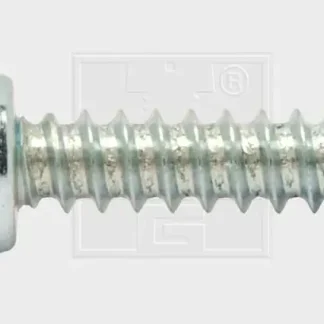 SWG Nummernschildschraube 5.6 x 19 mm mit Abdeckkappe