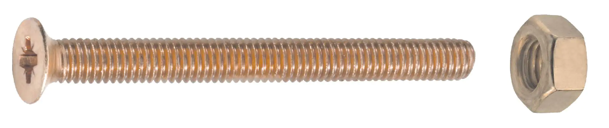 Connex Gewindeschrauben M5 x 20 mm PH 2 - 12 Stk.