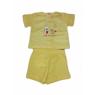 Completo 2 Pezzi Cotone CHICCO Giallino Taglia 9 Mesi