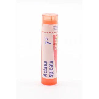 Boiron Actaea Spicata 7CH Tube Granules