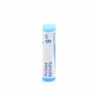 Boiron Actaea Spicata 9CH Tube Unidose