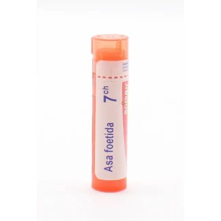 Boiron Asa Foetida 7ch tube granules