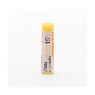 Boiron Blatta Orientalis 15CH tube unidose
