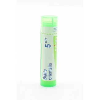 Boiron Blatta Orientalis 5CH Tube Granules