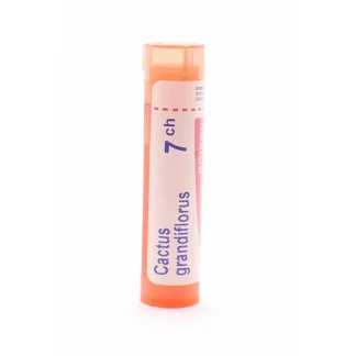 Boiron Cactus Grandiflorus 7ch tube granules