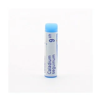 Boiron Caladium Seguinum 9ch tube unidose