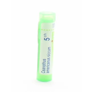 Boiron Ceanothus Americanus Siccum 5ch tube granules