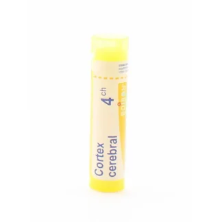 Boiron Cortex Cérébral 4CH Tube Granules