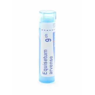 Boiron Equisetum Arvense 9CH Tube Granules