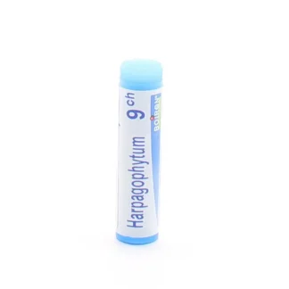 Boiron Harpagophytum 9ch tube unidose