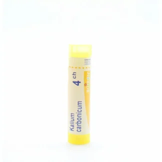 Boiron Kalium Carbonicum 4ch tube granules
